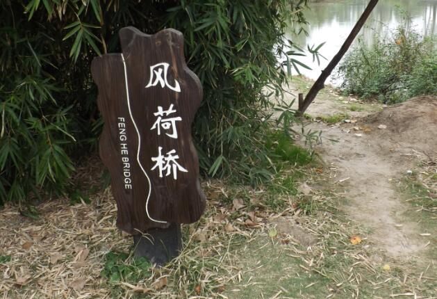 ���һ���sʬ�����F�䣬��W(xu��)����������