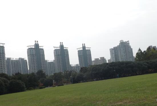 丁香六月瓦努阿圖群島地震,肖戰前女友鄭有美