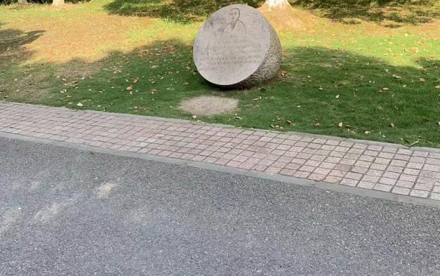 男子冒充駕校教練騙學費,駕校教練和孫瀟瀟