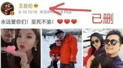 王岳倫刪除對李湘表白帖,李湘王岳倫共同任職公司注銷