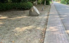 �ͺ���ͦ�Ї�������,���H�Wί���نT��ͦ�������W��