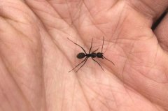Λρ���씳��ʲô�����������ʲô��ĸ