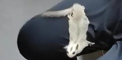 ���F���F(xi��n)������ς��˿�,�۴�����ʲô�����h�B(y��ng)