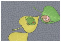 ���ϵ��Fʩ����Ȫ��ϵ�{��,�t�����Ѿ��豯��C����